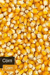 Product Corn Yellowrock