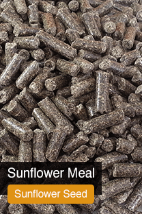 Product Sunflower Meal Yellowrock