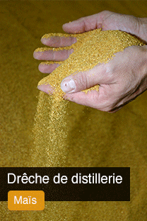 Produit DDGS Drêche de Distillierie Sèche Yellowrock